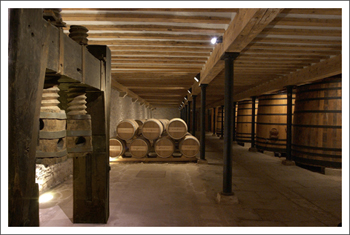 Bodeja-Vieja350